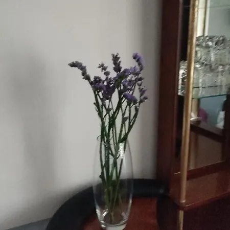 Appartement Grana Medrano *