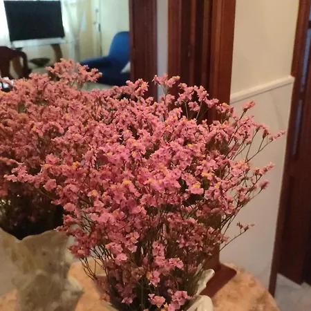 Appartement Grana Medrano Comarca de Pontevedra