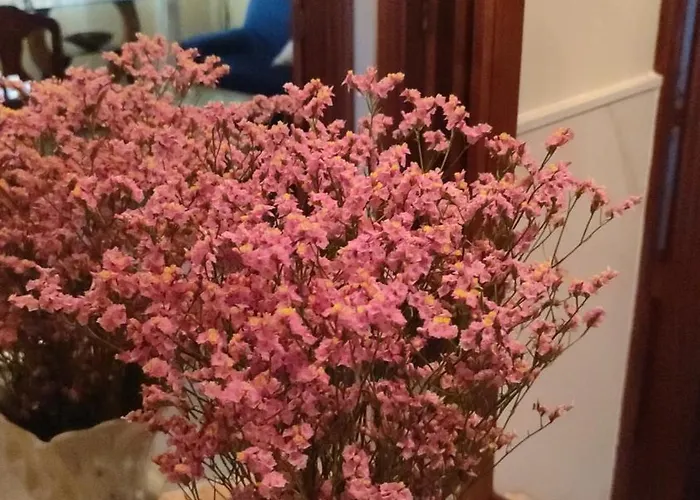 Daire Grana Medrano Pontevedra